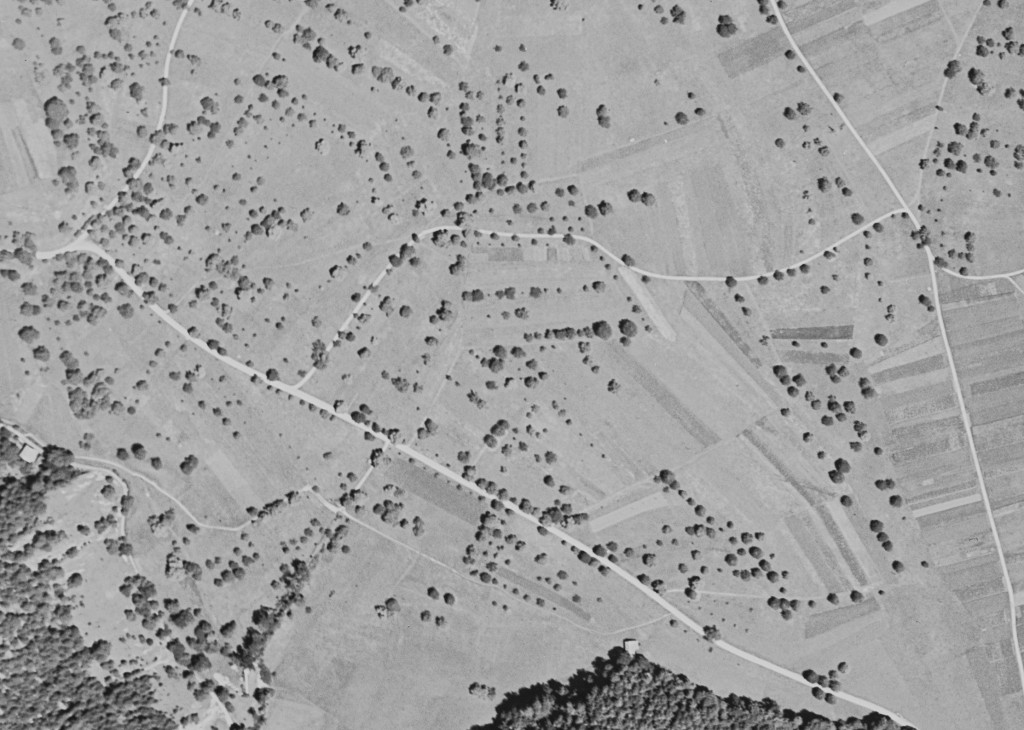 Hist. Luftbild - Ratitsch