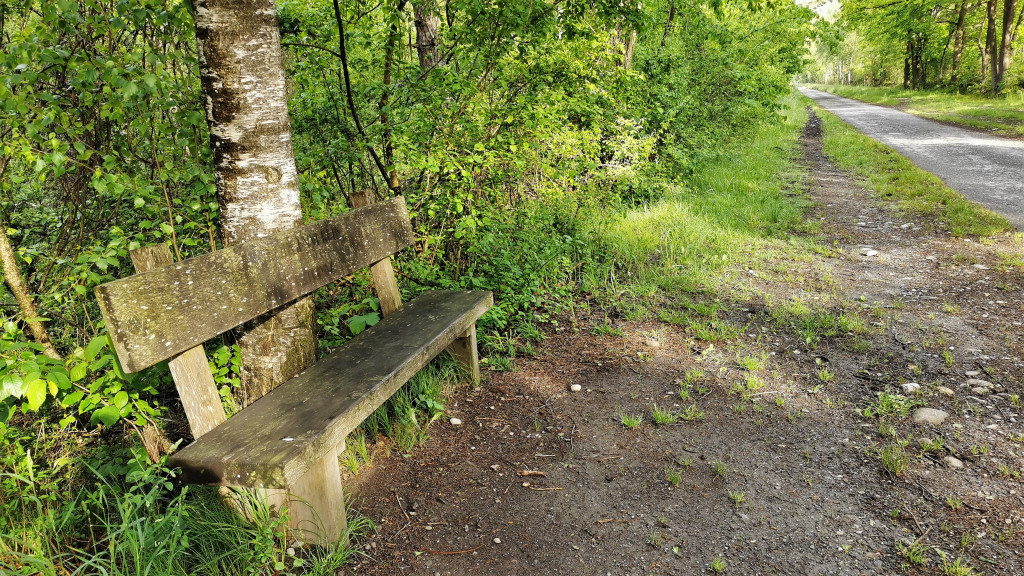 Sitzbank am Wuhrweg
