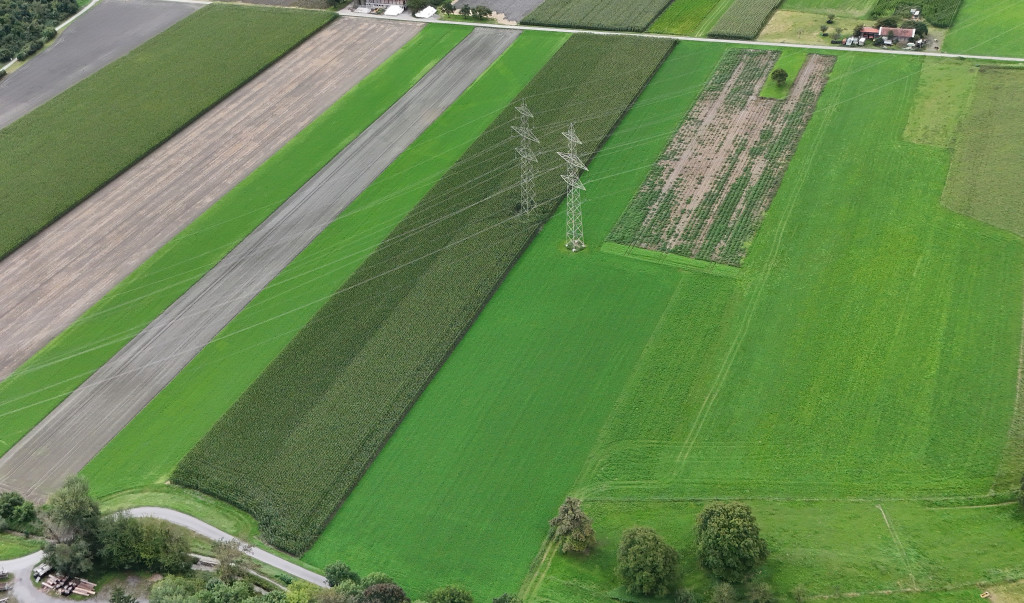 Luftaufnahme - Tüfried