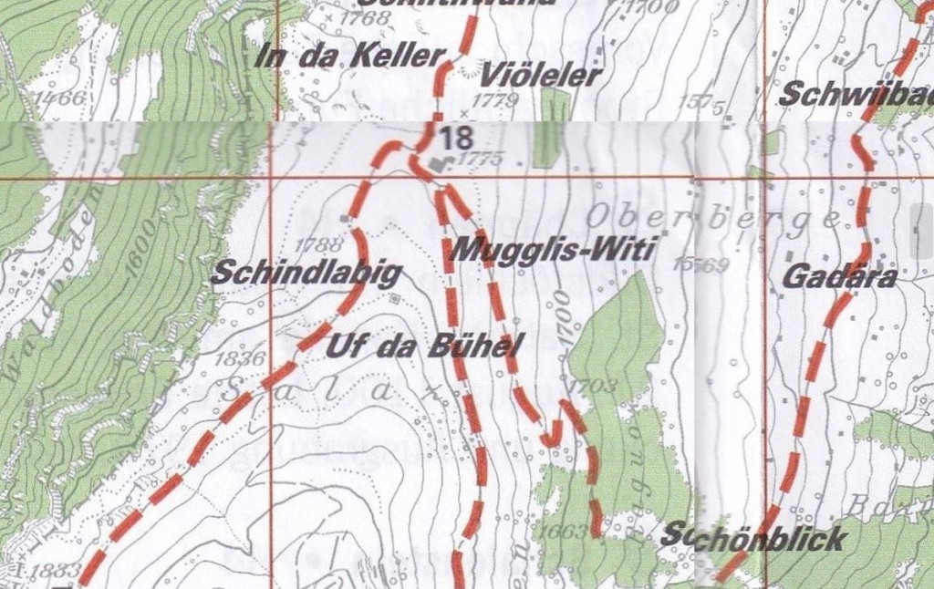 Flurnamenkarte mit 'Uf da Bühel'