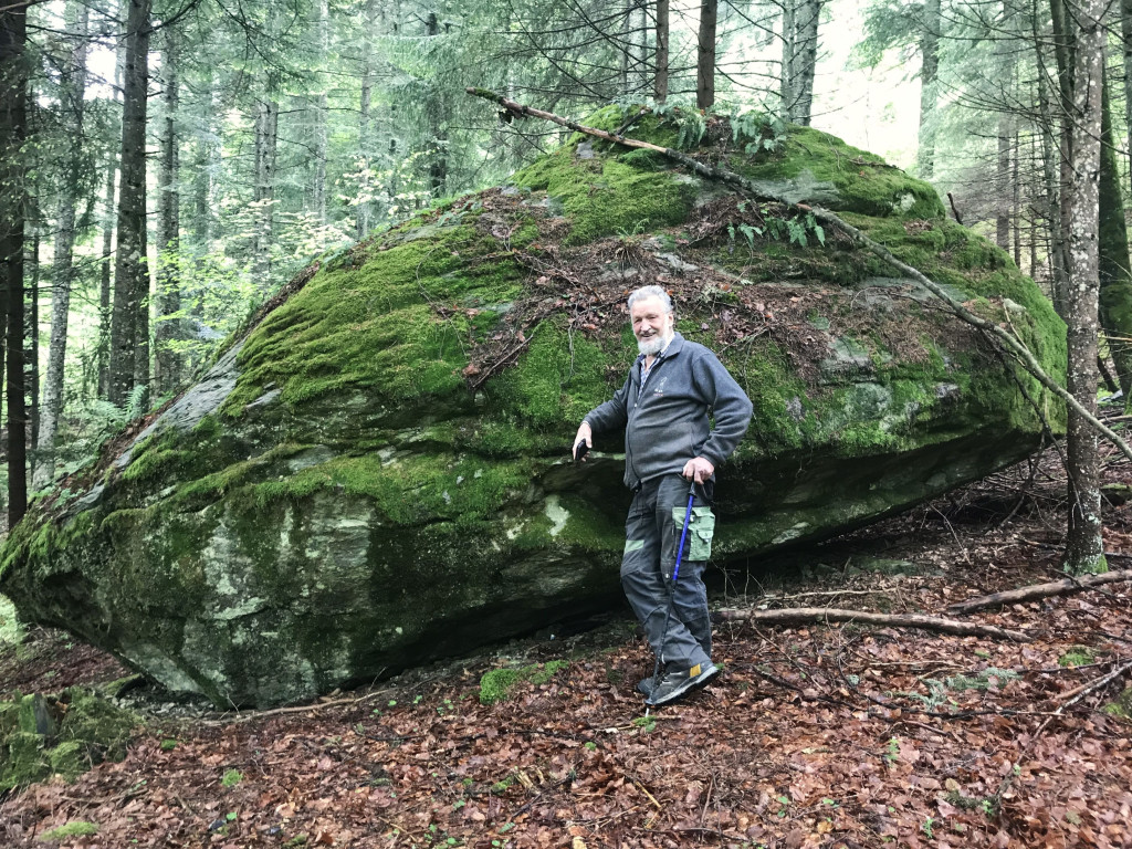 Findling im Ragallawald