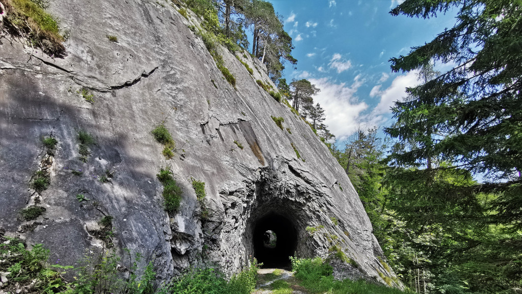 Tunnel am Chöpfeweg