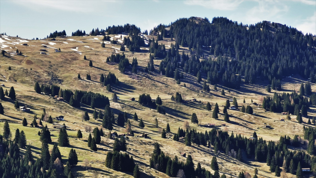 Das Älpli über den Oberbergen