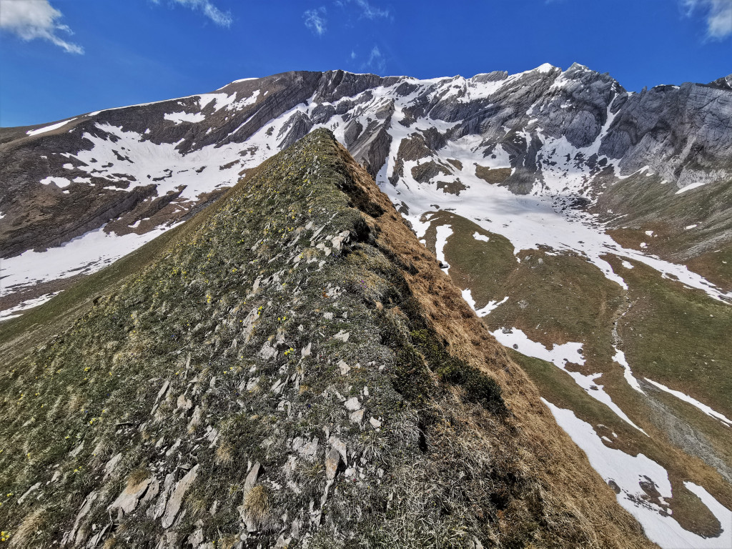 Blick entlang des schmalen Grates zum Hauptkamm des Calanda-Bergmassivs, rechts das Hinder Tal