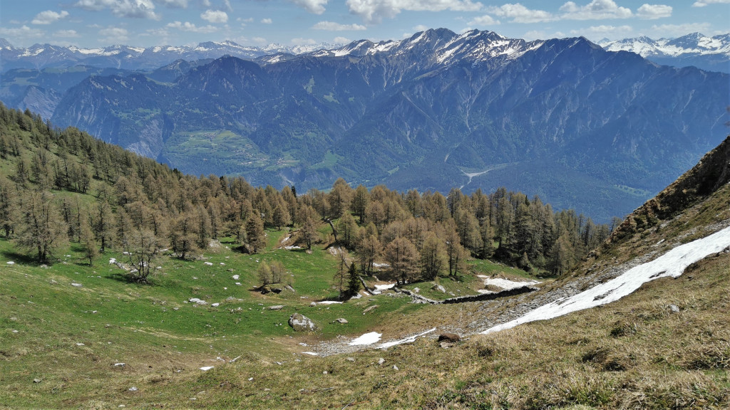 Blick in die Löcher