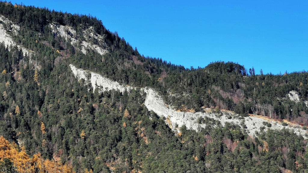 Bärahag von Südosten