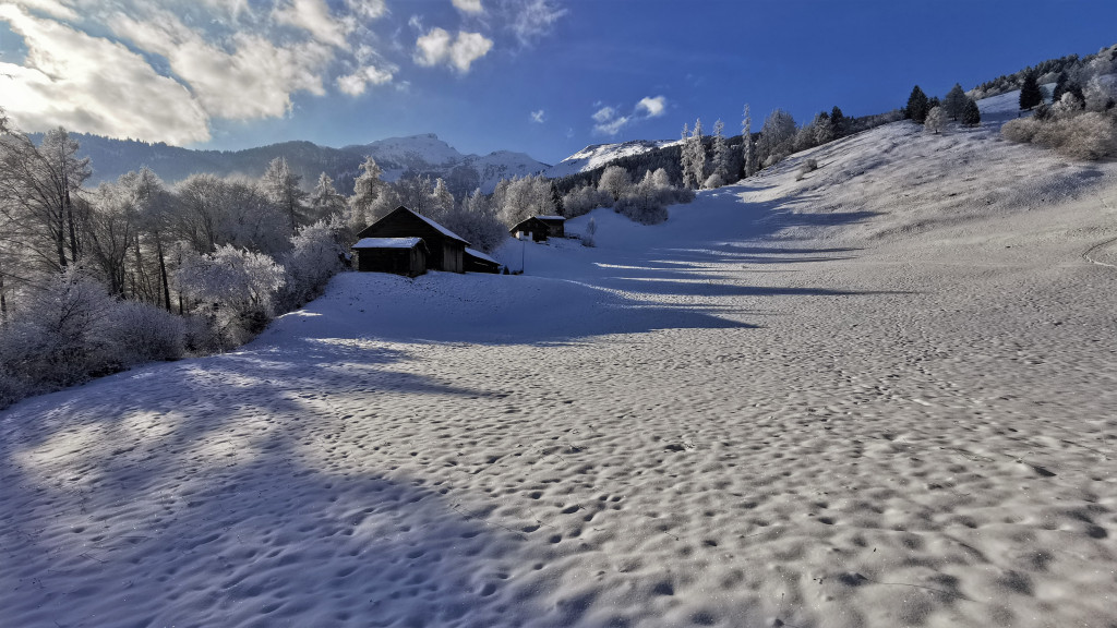 Winterliche Pradardua