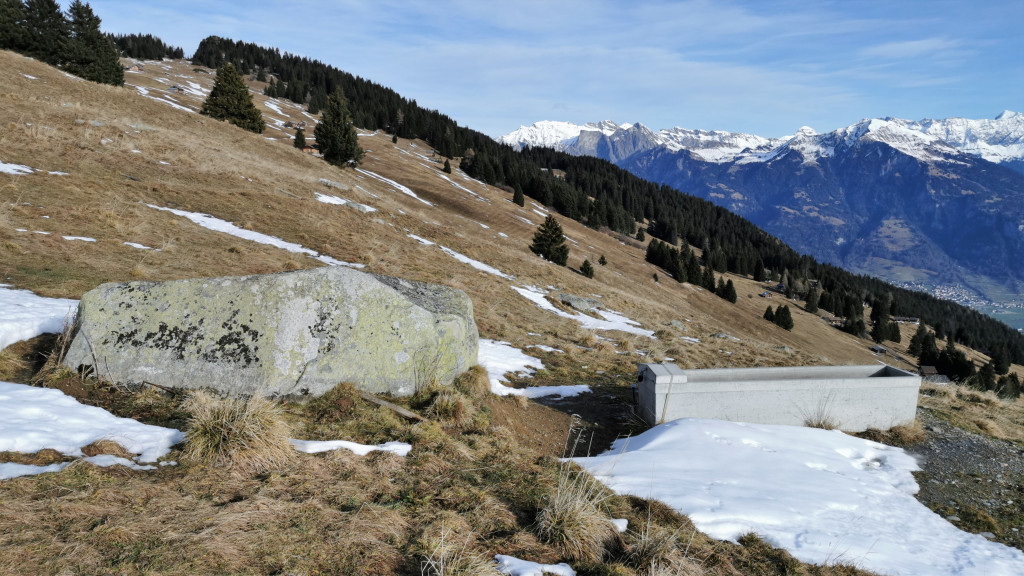 Viehtränke auf Mugglis-Witi