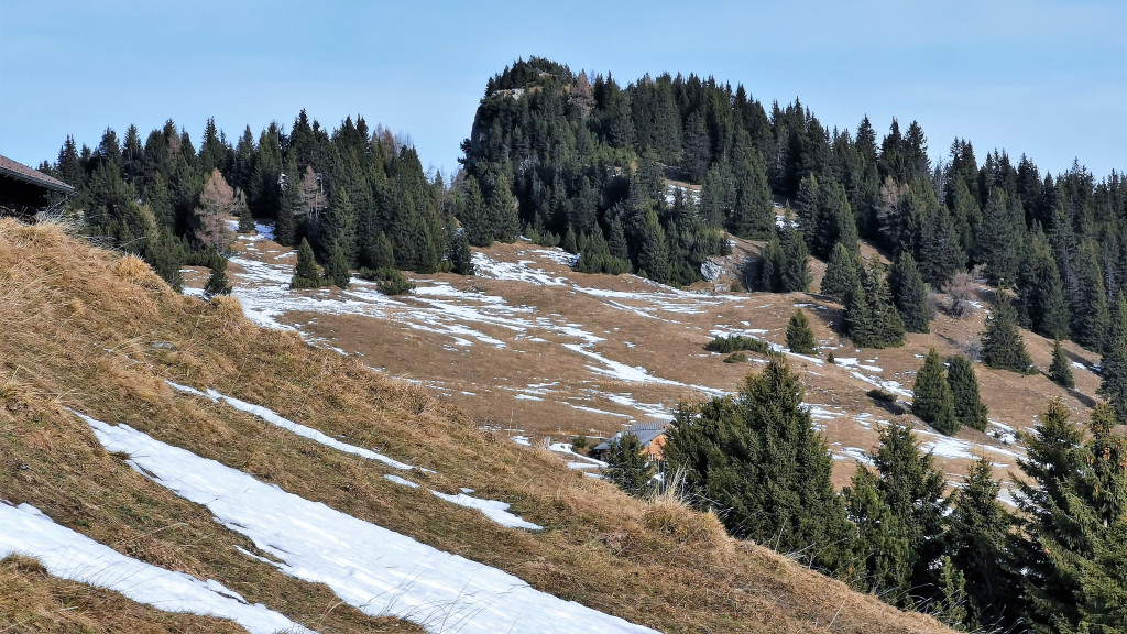 Das Älpli über den Oberbergen
