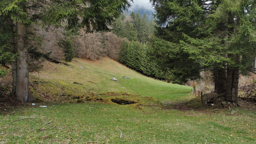 Hist. Kernbereich des Wisalis