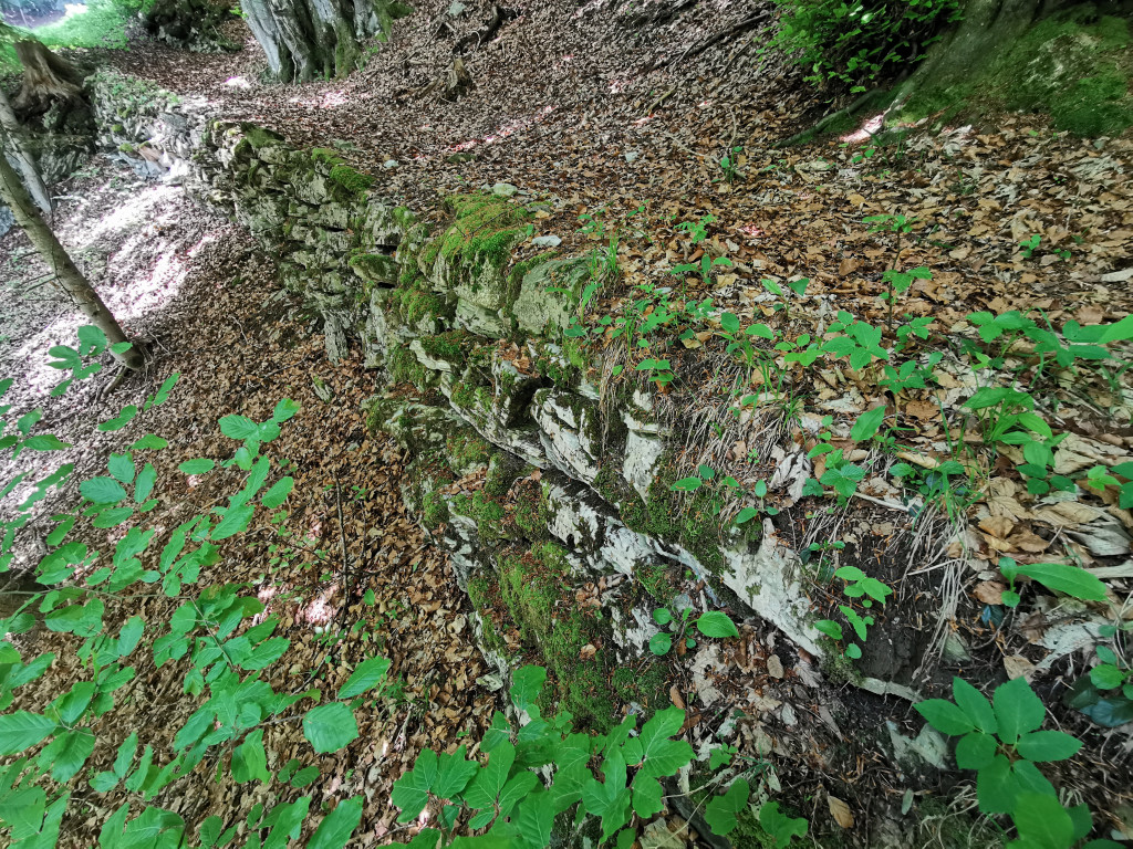 Stützmauern am Pfad