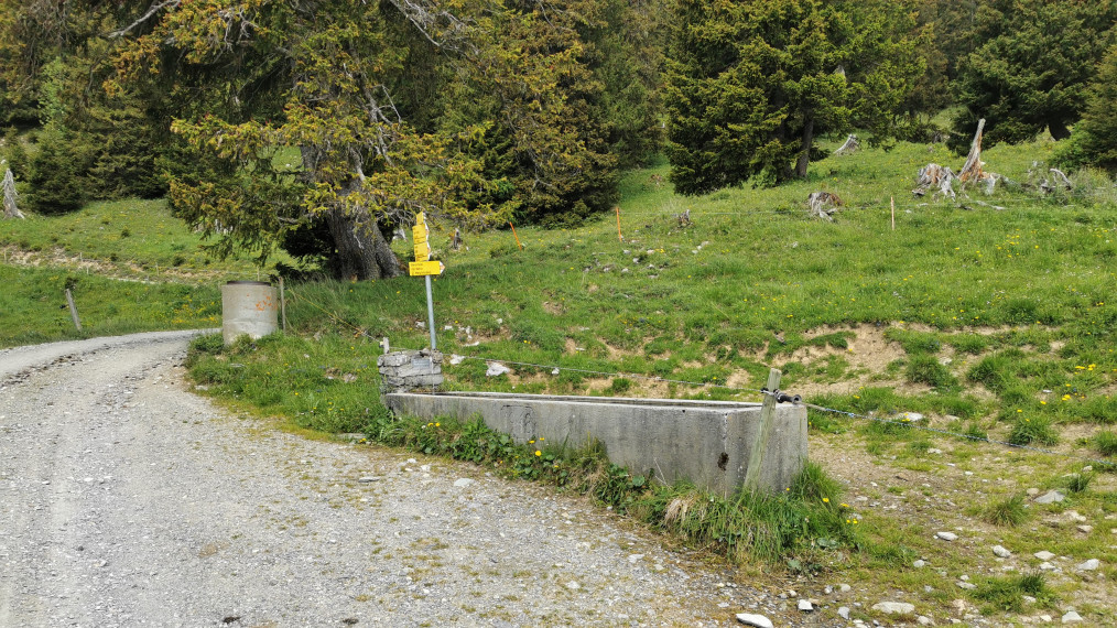 Brunnen auf der Sässli