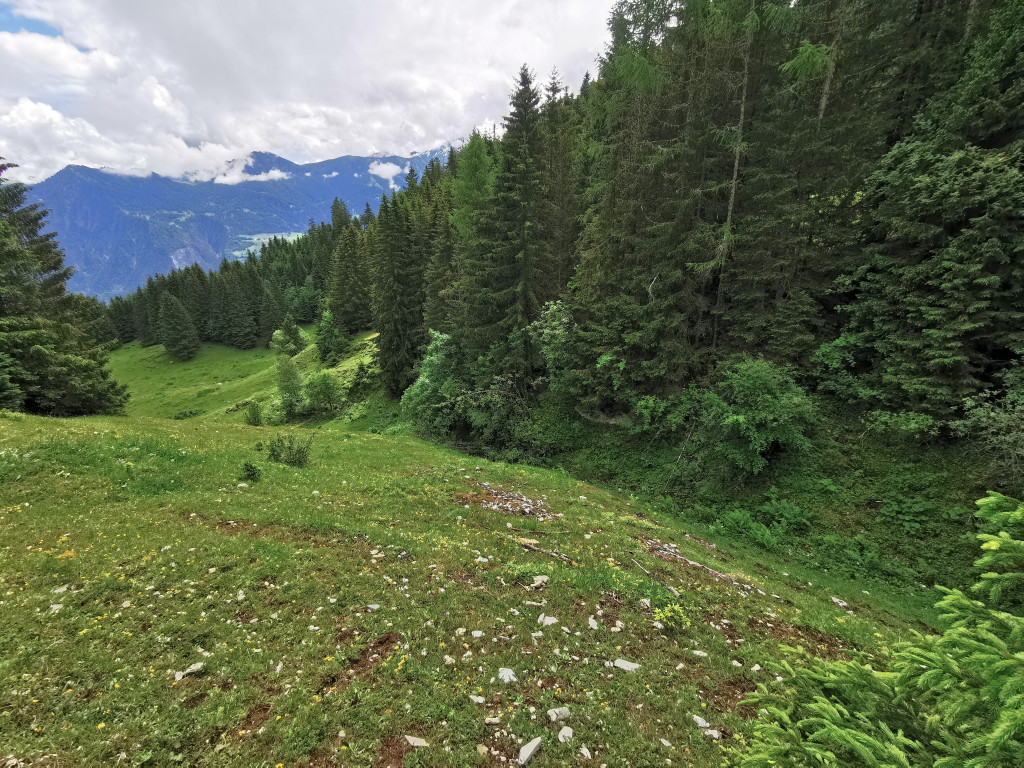 Blick in den mittleren Abschnitt der Gürgütschtola