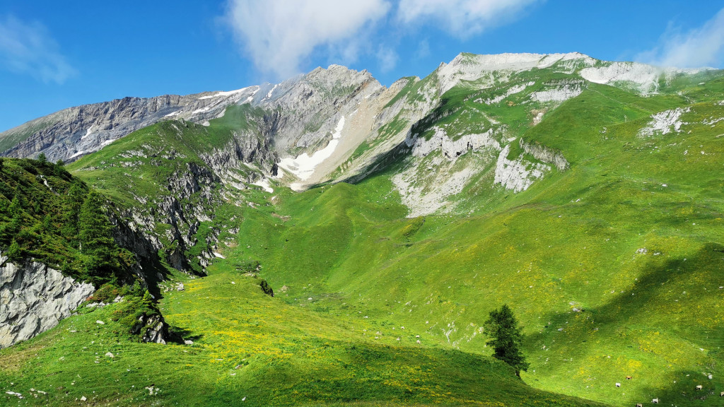 Blick ins Mittler Tal