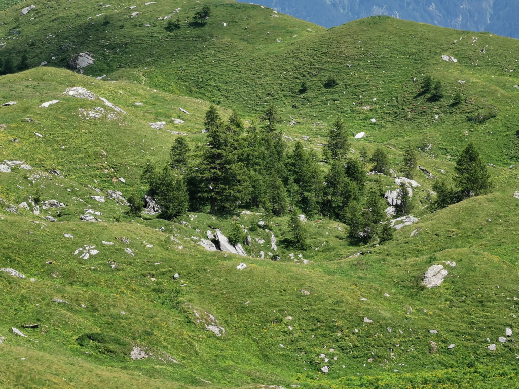 Blick von Nordwesten in Gigers Grab