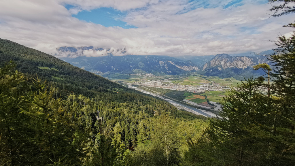 Blick über den Ragallawald ins Rheintal