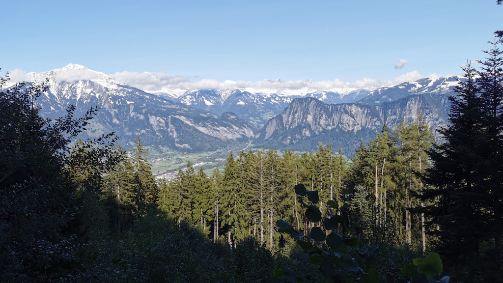 Blick aus dem Valtscharnuswald