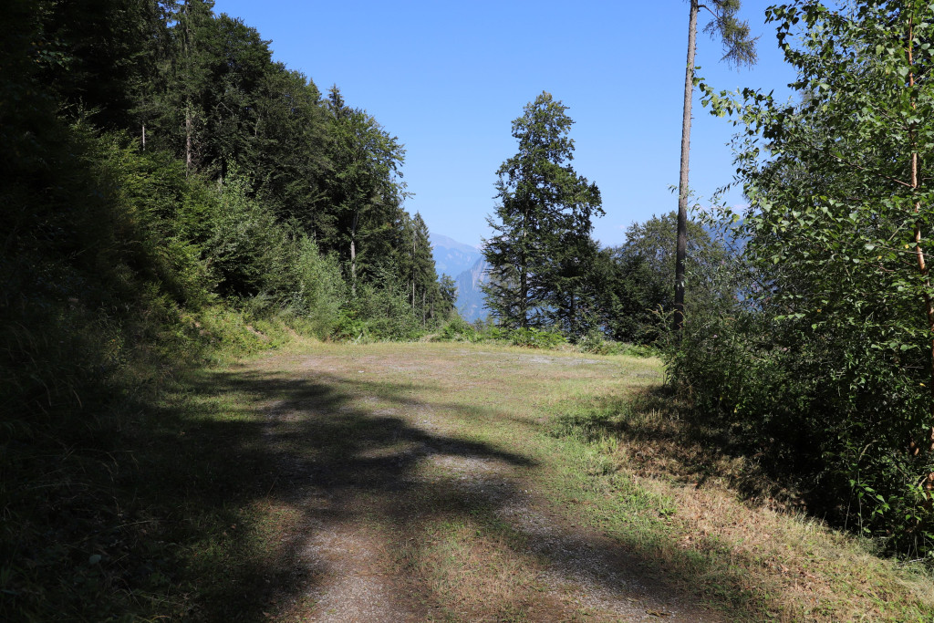 Fortstweg im Waldgebiet