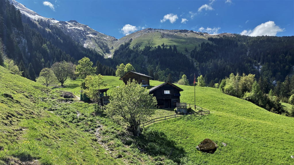 Artaschiev mit Stelli