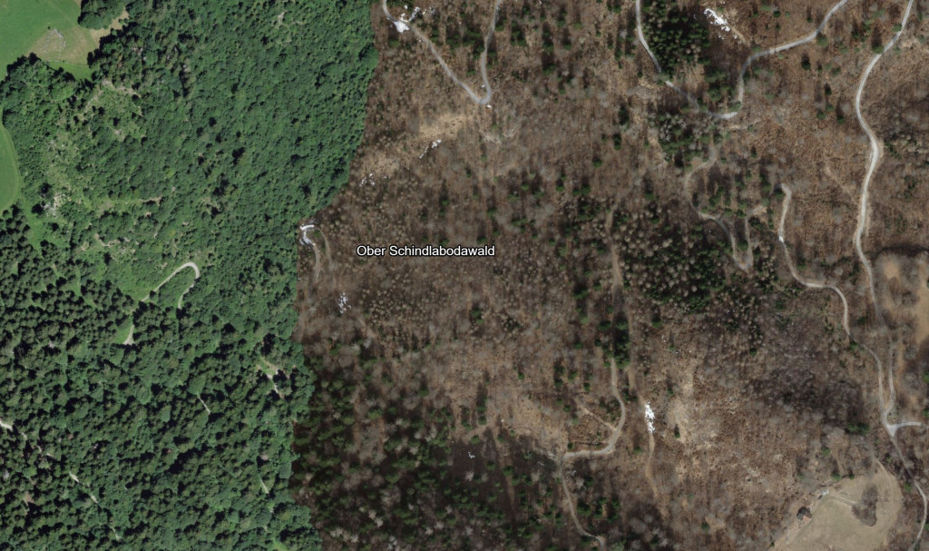 Luftbild - Ober Schindlabodawald