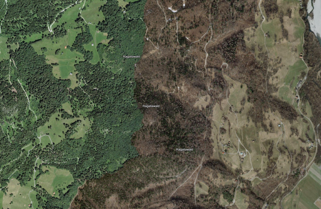 Luftbild - Ragallawald